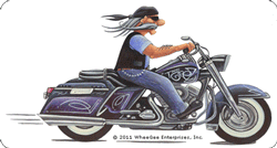 Geez on bike - color picture